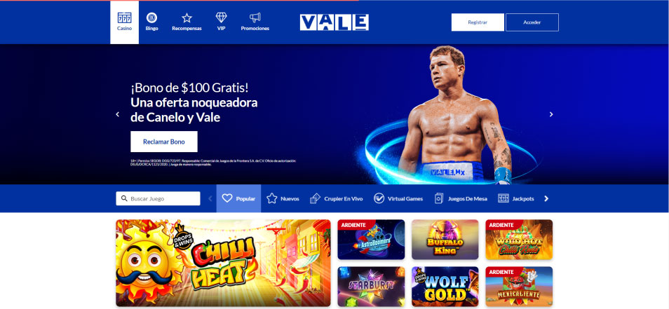 Casino Vale'de Sunulan Para Yatırma Yöntemleri